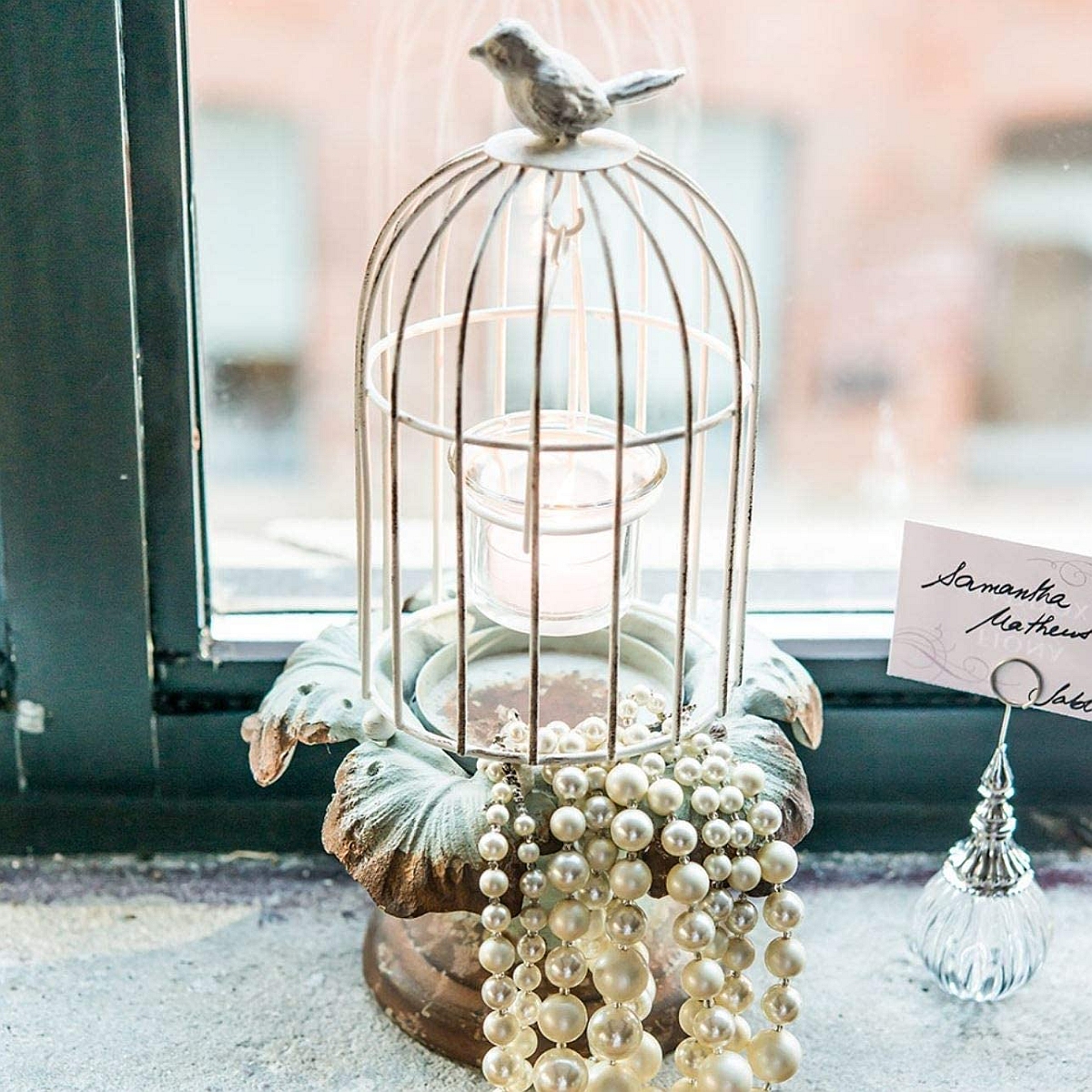 metallic birdcage