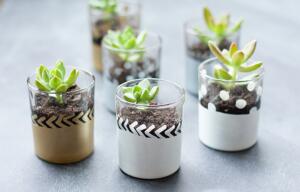 reusing votives