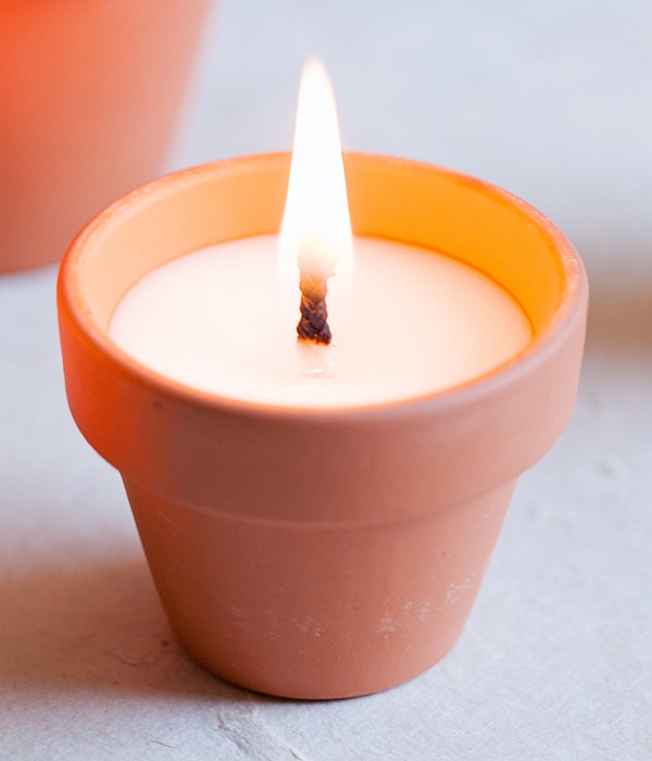 candle plot diy