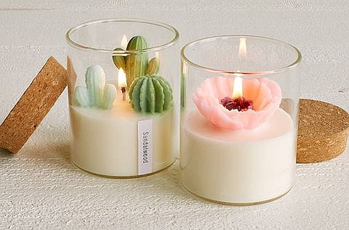 terrarium candle jars