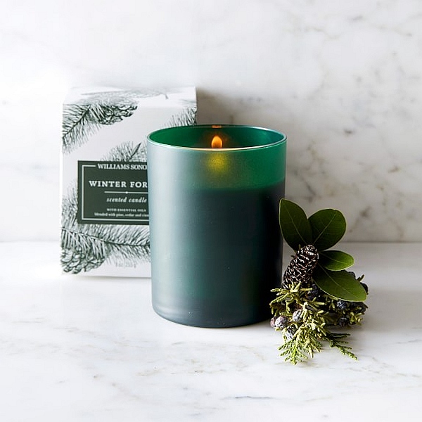 williams sonoma winter forest candle gift