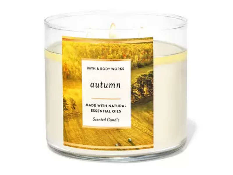autumn 3 wick candles