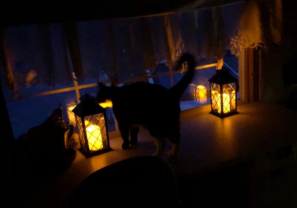 cat lanterns