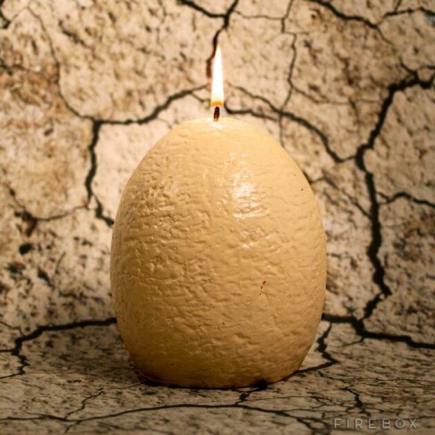 hatching dinosaur egg candle