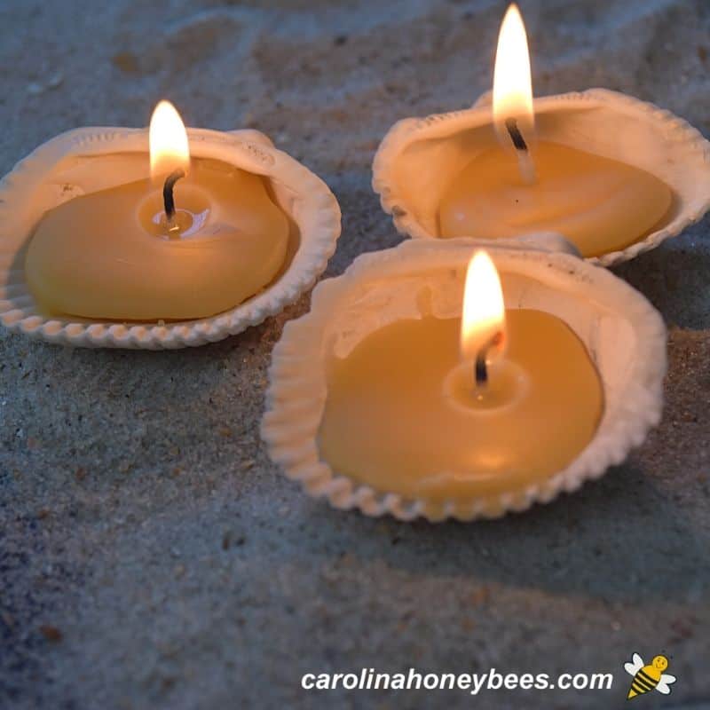 shell mold candles